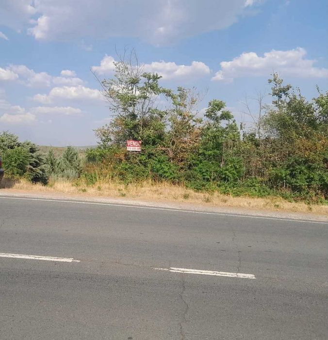 Terreno com Olival com aproximadamente 2,5 hectares em Olmos, Macedo de cavaleiros