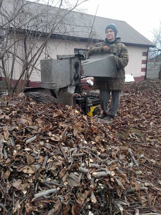 Обрезка аварийных веток. Дробление веток. Спил деревьев, пней.
