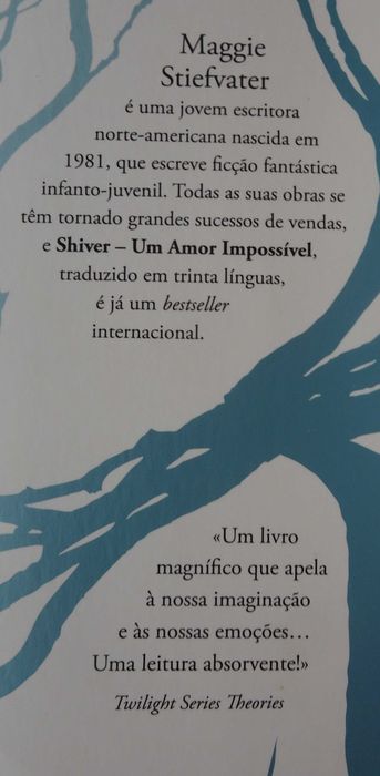 Shiver Um Amor Impossível de Maggie Stiefvater