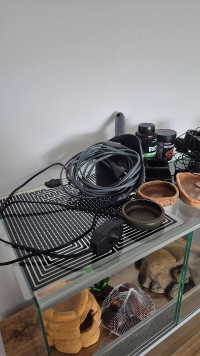 Gotowa wyprawka dla gekona lamparciego