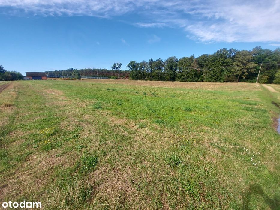 Działki budowlane 900 m² z WZ – Ciarka, blisko lasu i rzeki - Widok 2