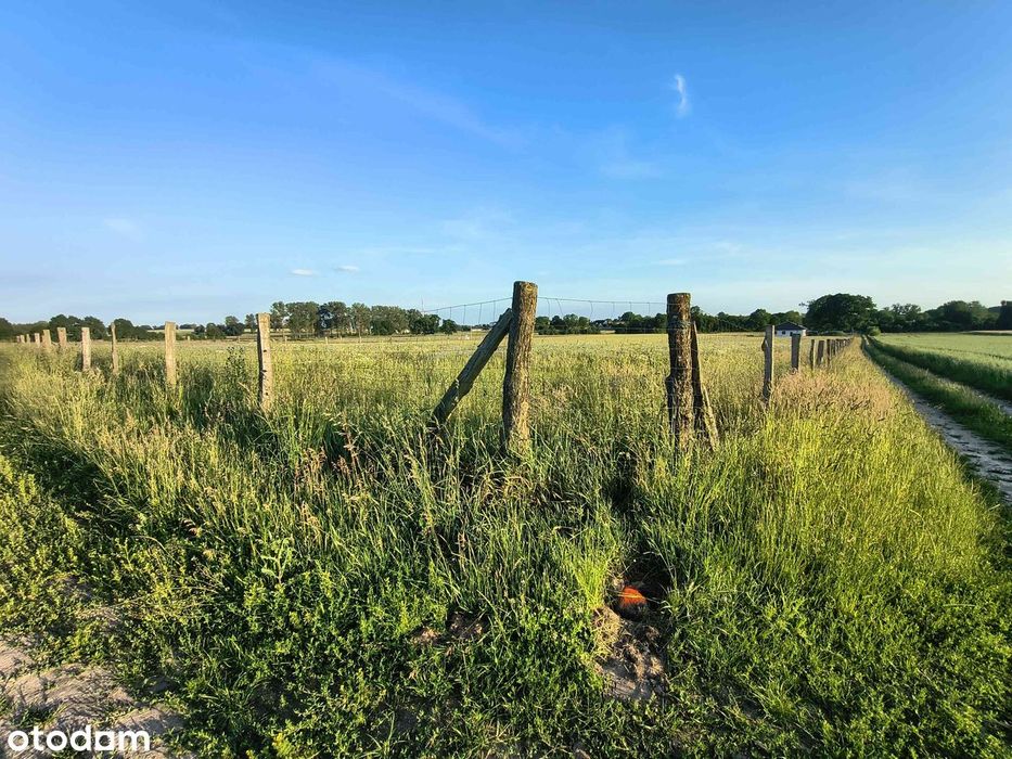 Działki Z Warunkami Zabudowy – 1700 M² ( 17 Arów) – Radowo Małe - More