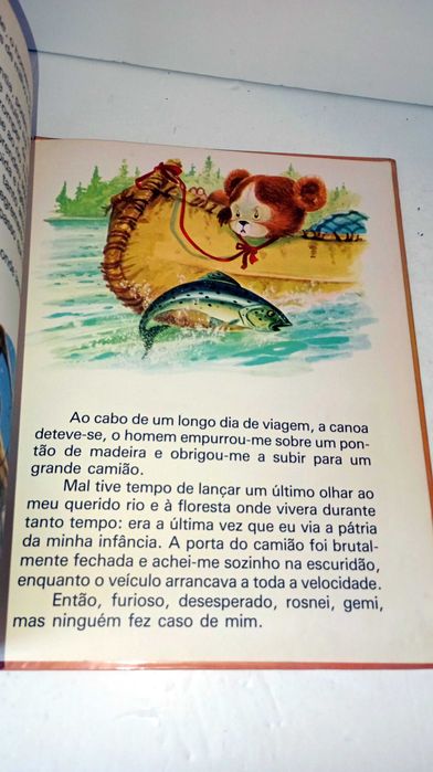 Ursinho e os seus Amigos