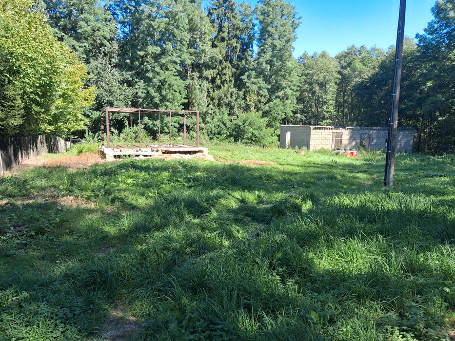 Zdjęcie 6