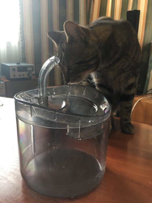 Автоматическая поилка для кота.