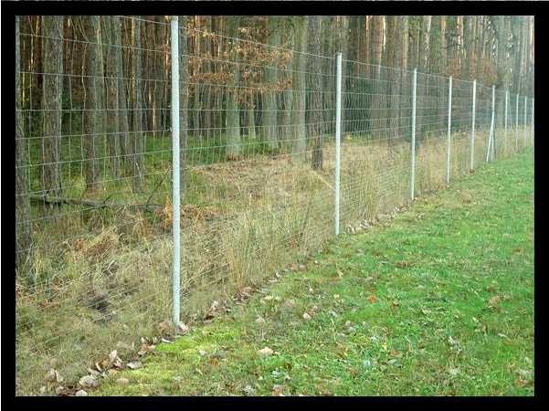 Siatka ogrodzeniowa leśna 120/9/15 L 50 m GRODZENIE PASTWISK