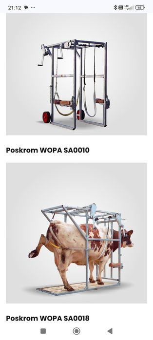 Poskrom do korekcji racic bydła wopa