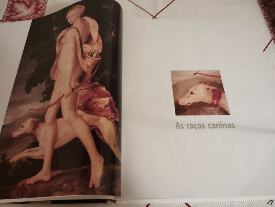 Livro Enciclopédia do Cão Novo