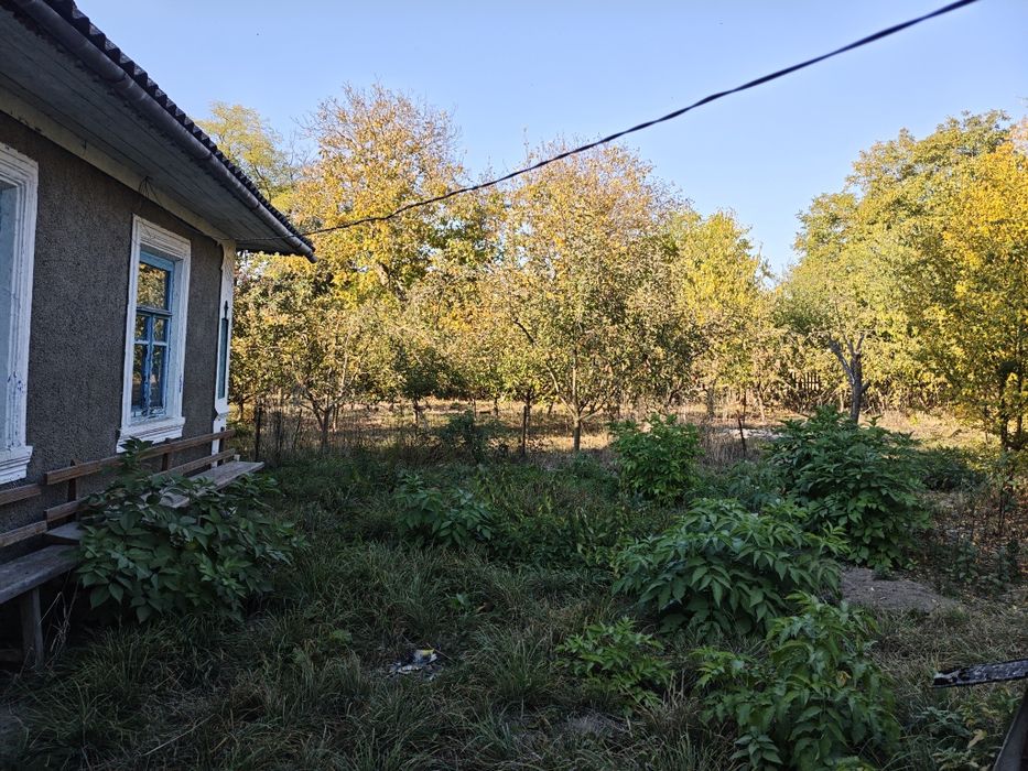 Будинок у селі, дуже гарний