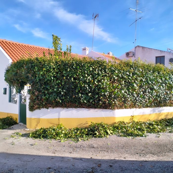 Prestação de serviços de jardinagem e de limpeza