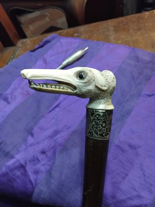 Bangala antiga cabeça de galgo com olhos de vidro