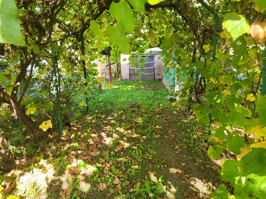 Продам будинок з земельною ділянкою(Клесів)