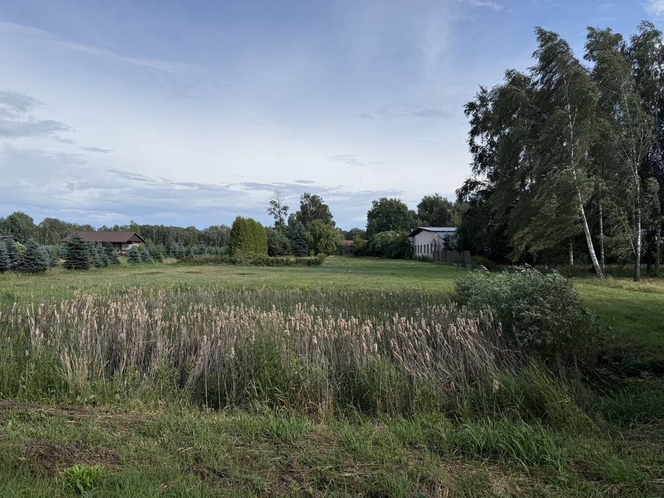 Działka 13 767 m² z domkiem letniskowym – Pruszyn, ul. Łosicka – MPZP, media