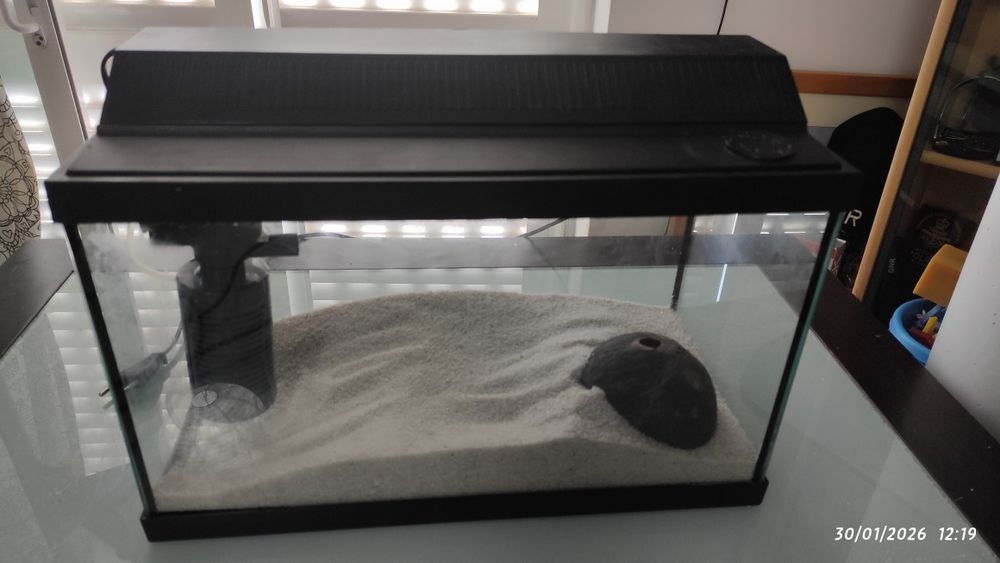 Aquário pequeno , com luz e filtro