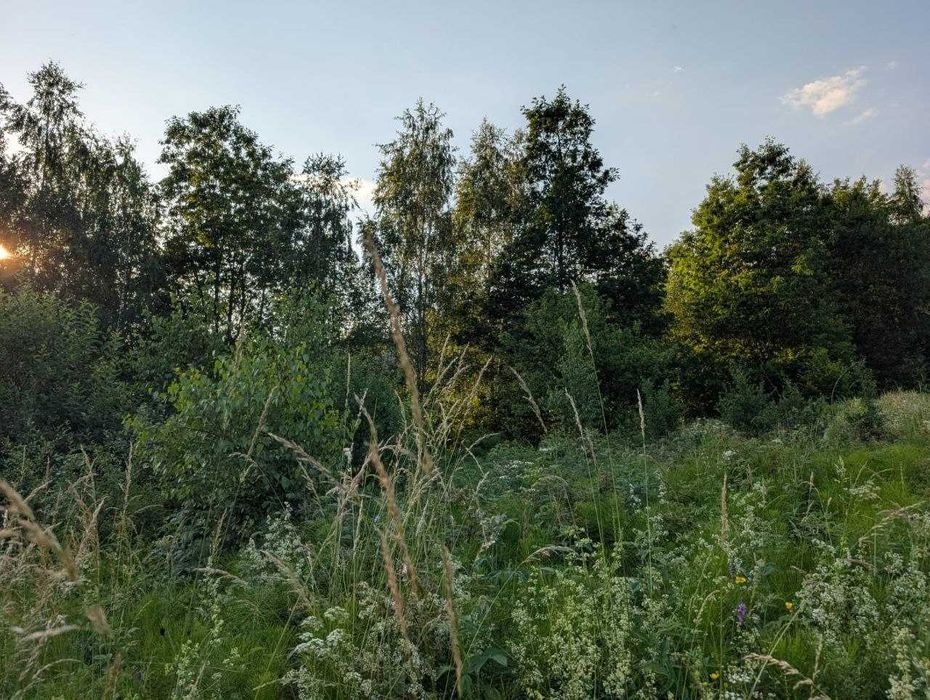 Земельна ділянка 1га Східниця - Перепростиня