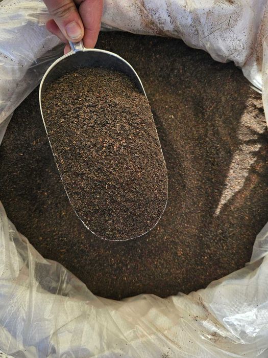 Чай чорний дрібнолистовий міцний