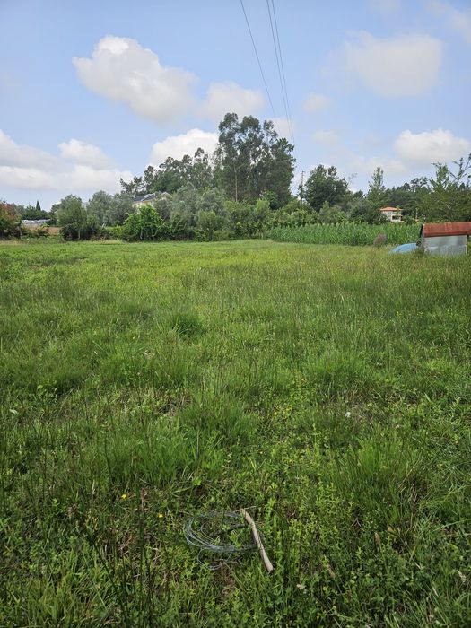 Terreno agrícola