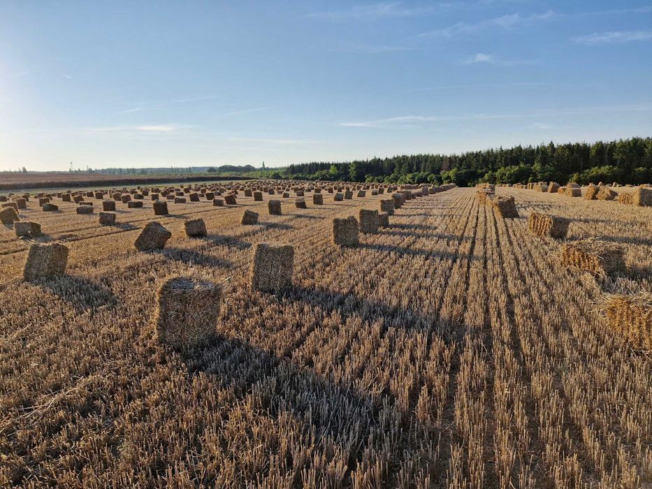Słoma -mała kostka