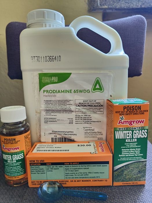 Prodiamine 65wg, Winter grass killer