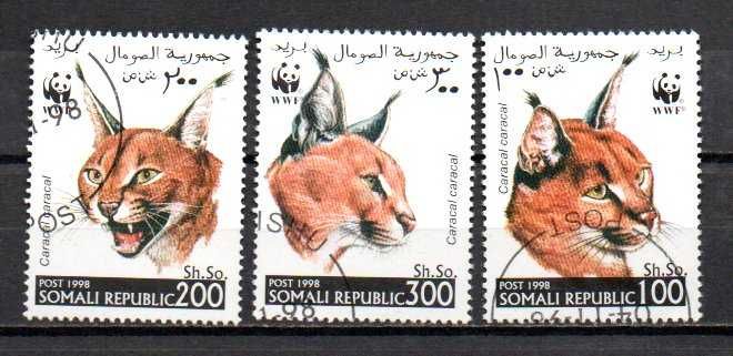 Znaczki Somali kot, koty