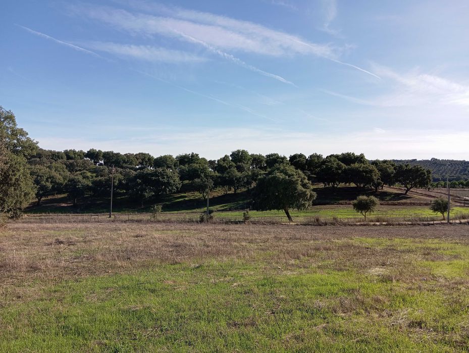 Terreno a 10 km de Estremoz