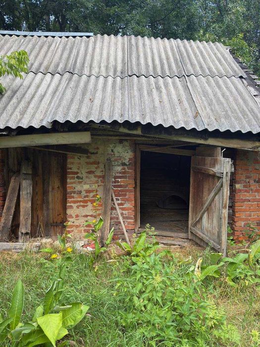 Продаж будинку в селі Кухарі з ділянкою 100 соток
