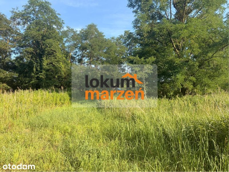 Wołów – działka budowlana 991 m² z widokiem i drzewami