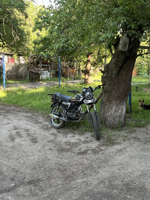 спарк альфа 110сс