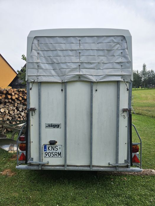 Przyczepa konna używana