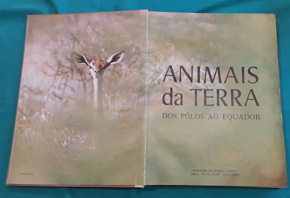 Animais da terra, dos Polos ao Equador