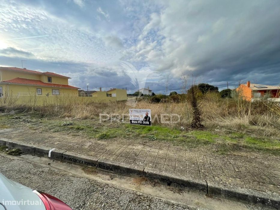 Lote nº8