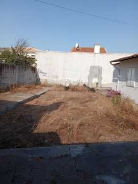 Limpezas de terrenos