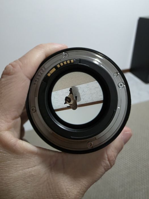 Canon EF 24mm f/1.4 L II USM