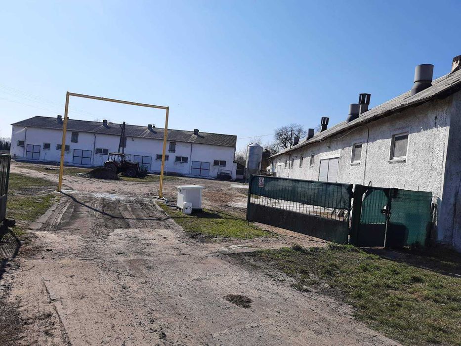 Działka z zabudowaniami magazynowymi/inwentarskimi BUCZ