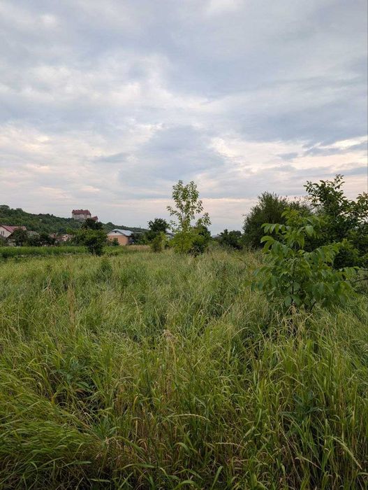 Продаж земельної ділянки у Вовчинцях