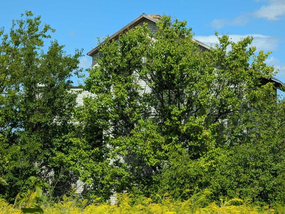 Фасадна Земельна ділянка - 102 сотки.  Рославичі.