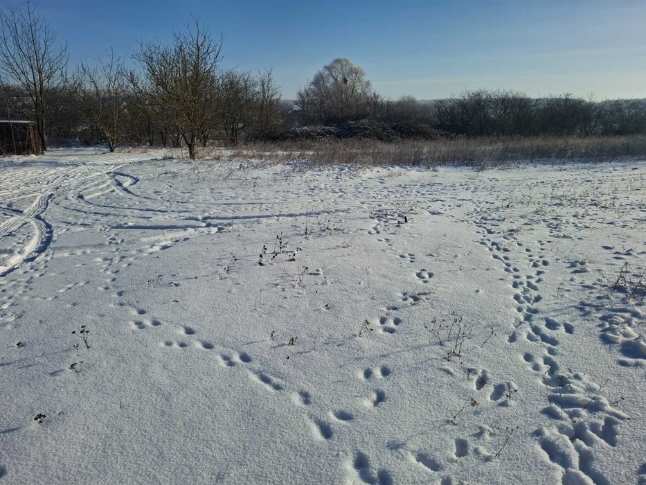 Продам зем. ділянку в с. Майдан-Чапельський