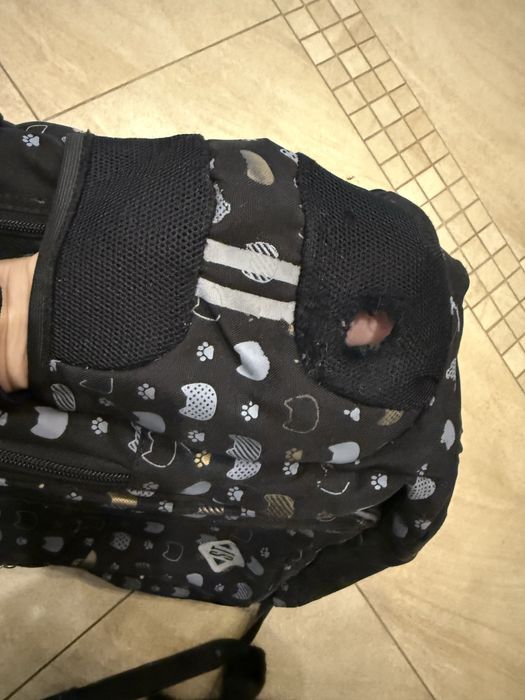 Plecak szkolny z kotami St.Right