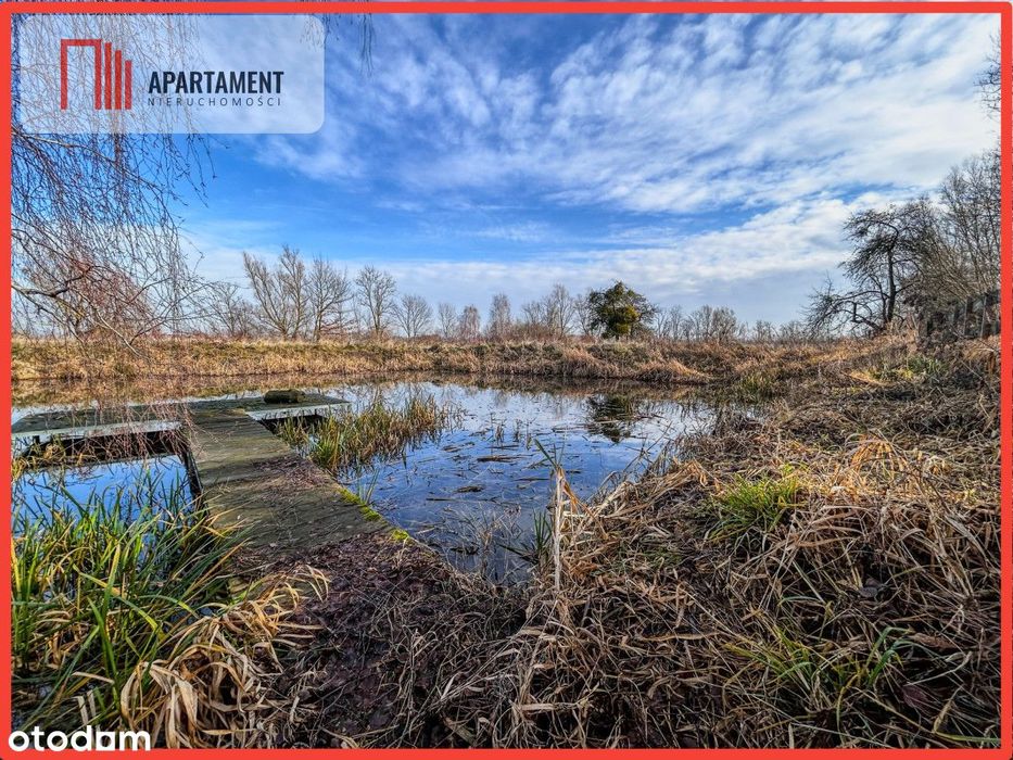 Działka 1,5 ha ze stawem w Parku Krajobrazowym