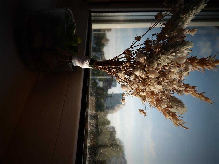 Фотоапарат Nikon Coomplix L830 (фото краще чим на телефон)