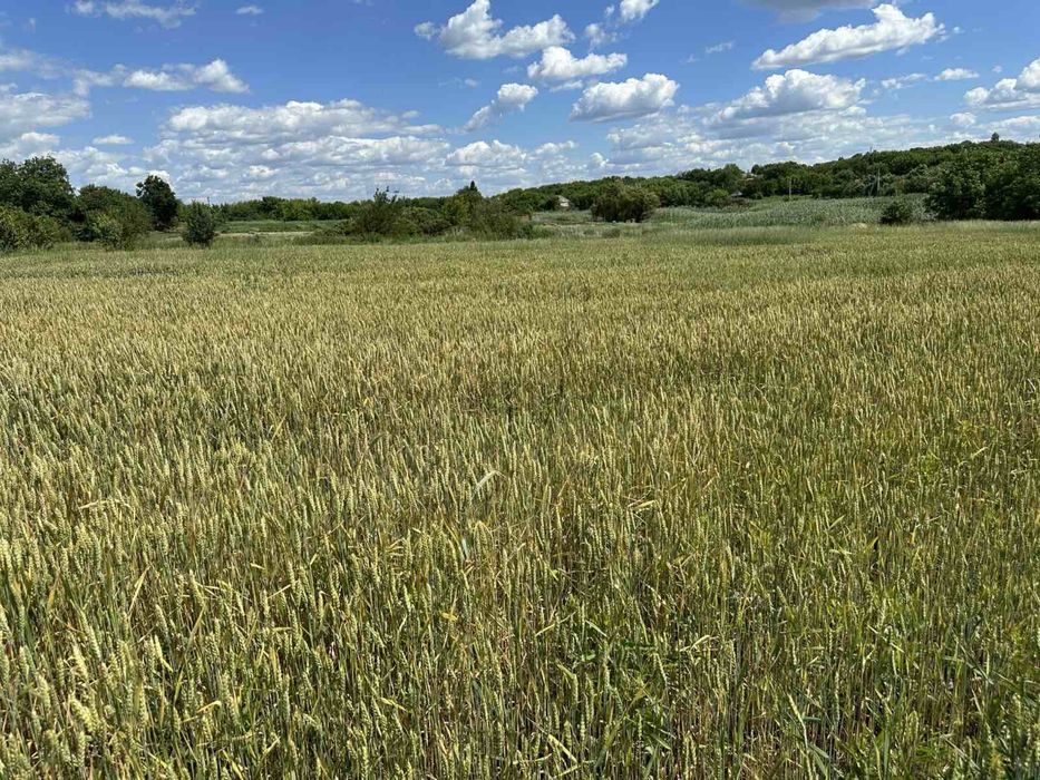 Продам приміщення с.Голубівка