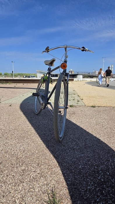 Bicicleta italiana (marca Alpina)