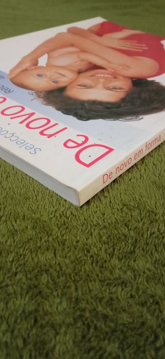 De novo em forma - recuperar a figura após o parto - Sally Lewis