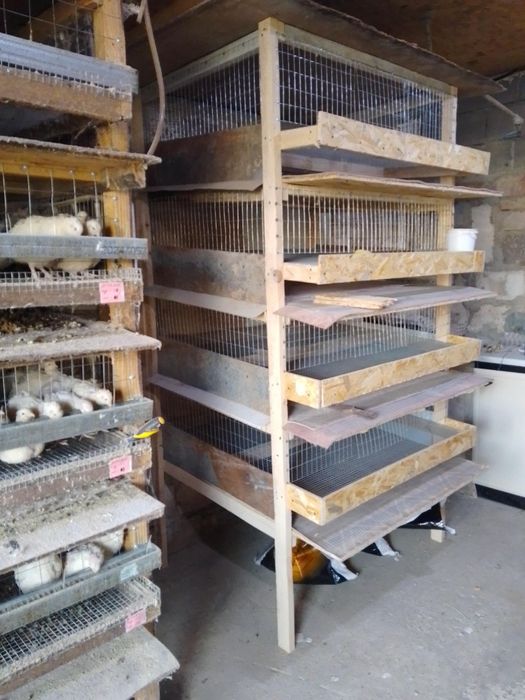 Клітки для перепелів під замовлення.