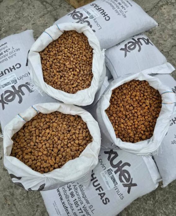 Тигровий горіх, зерна коноплі свіжі для риболовлі