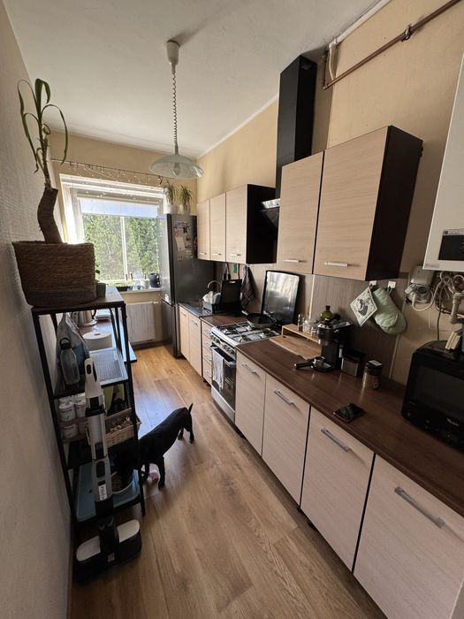 Pokój 20 m² Mosbacha - Widok 6