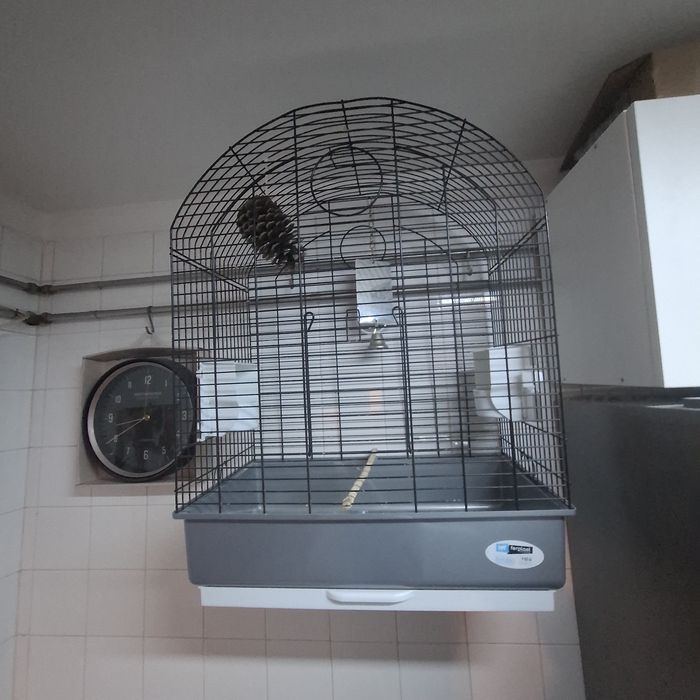 Gaiola para pássaro
