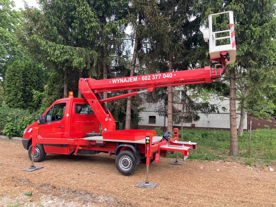 Wynajem rębaka, Wycinka drzew, usługi, mielenie, Podnośnik koszowy