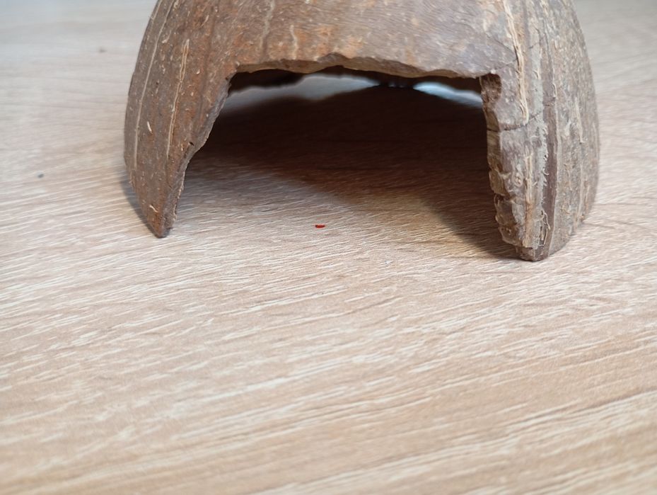 укритя ,печера з половинки кокоса