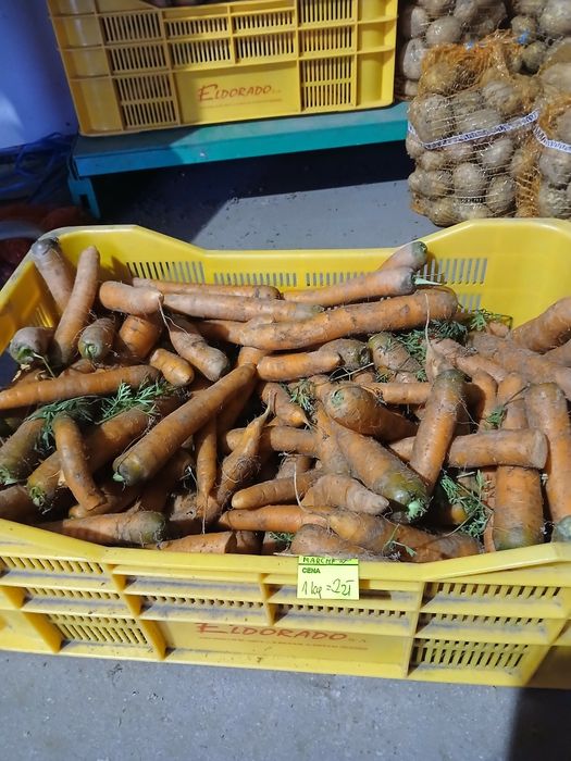 Warzywa od rolnika buraczek cebula marchew  detal  polecam